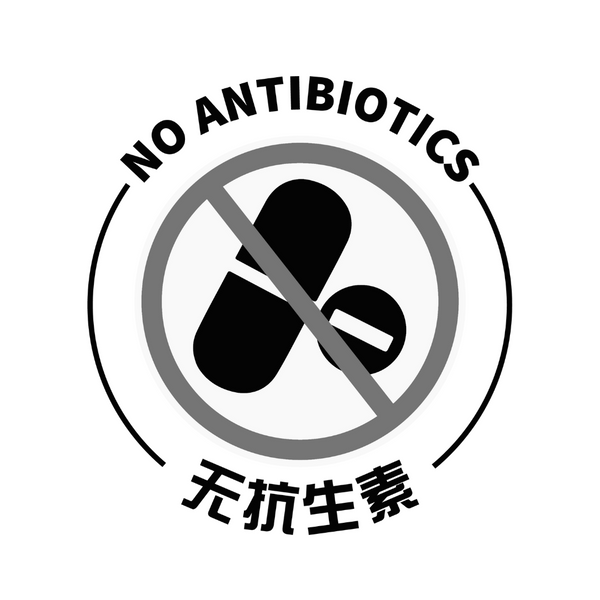 No Antibiotics Test